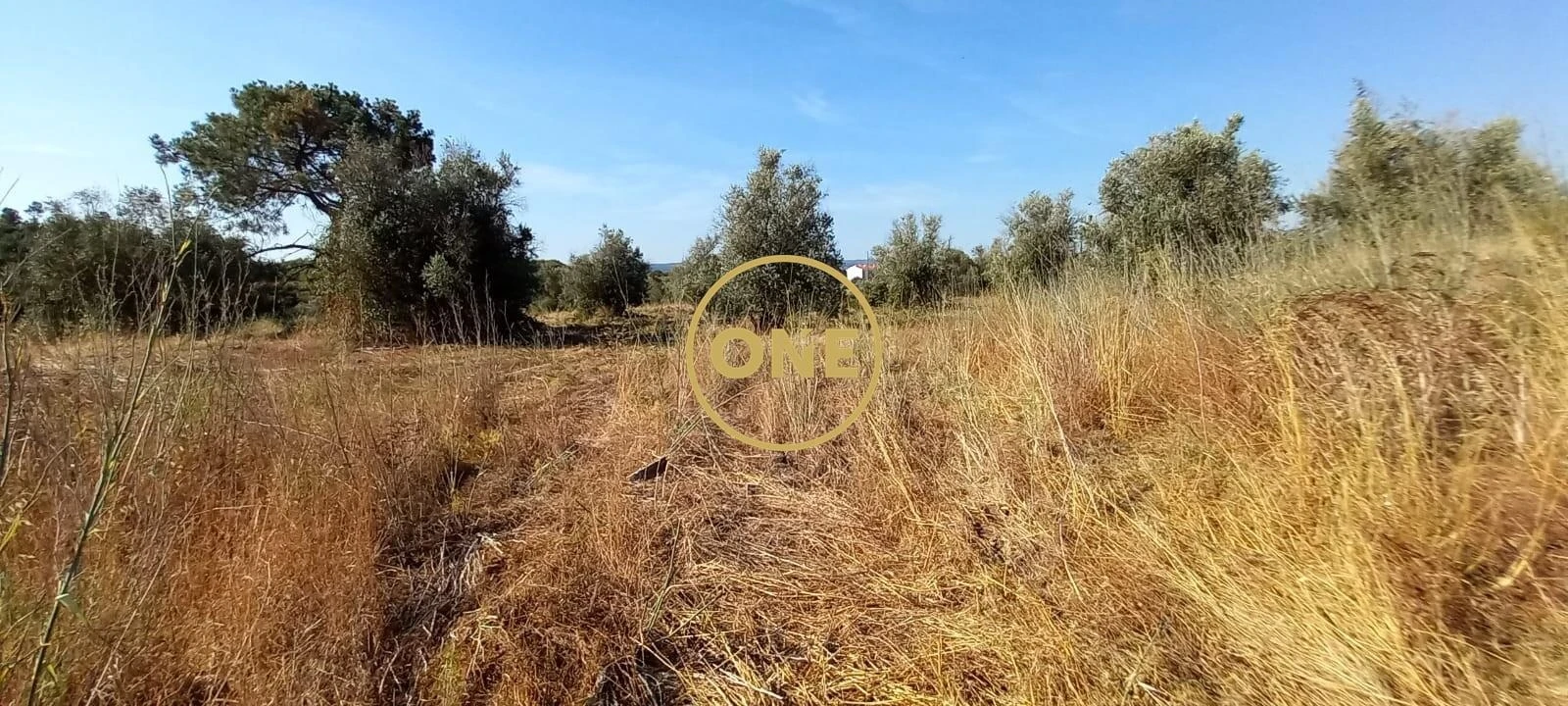 Terreno para Venda em Vila Nova da Barquinha Foto 7