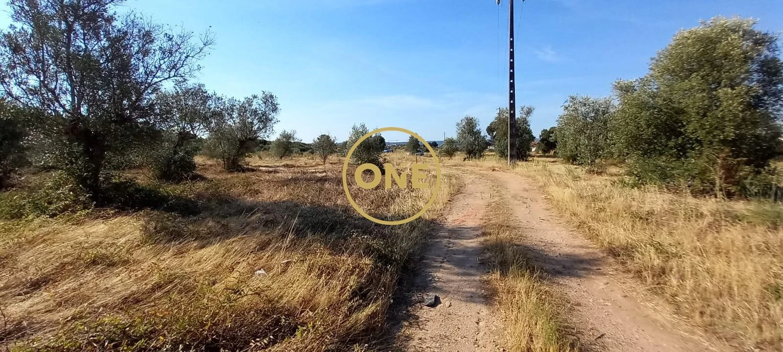 Terreno para Venda em Vila Nova da Barquinha Foto 17