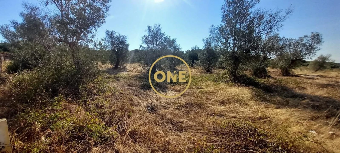 Terreno para Venda em Vila Nova da Barquinha Foto 16