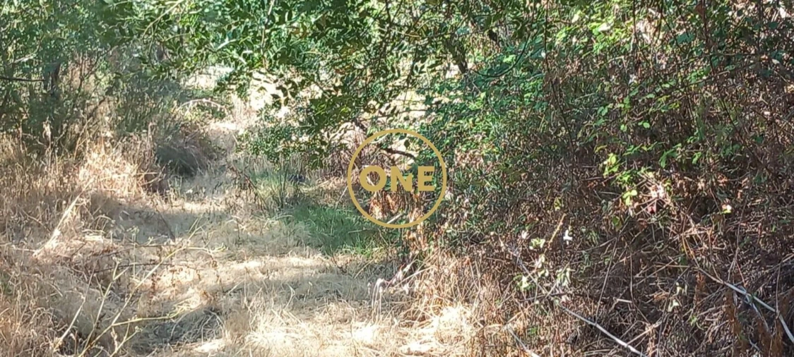 Terreno para Venda em Vila Nova da Barquinha Foto 3