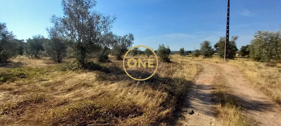 Terreno para Venda em Vila Nova da Barquinha Foto 15