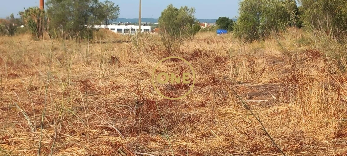 Terreno para Venda em Vila Nova da Barquinha Foto 5