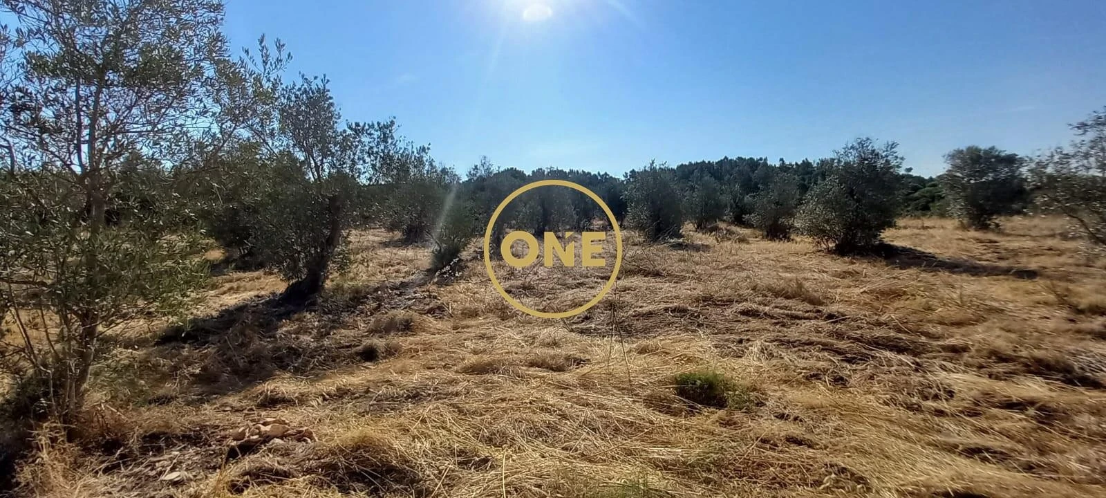 Terreno para Venda em Vila Nova da Barquinha Foto 8