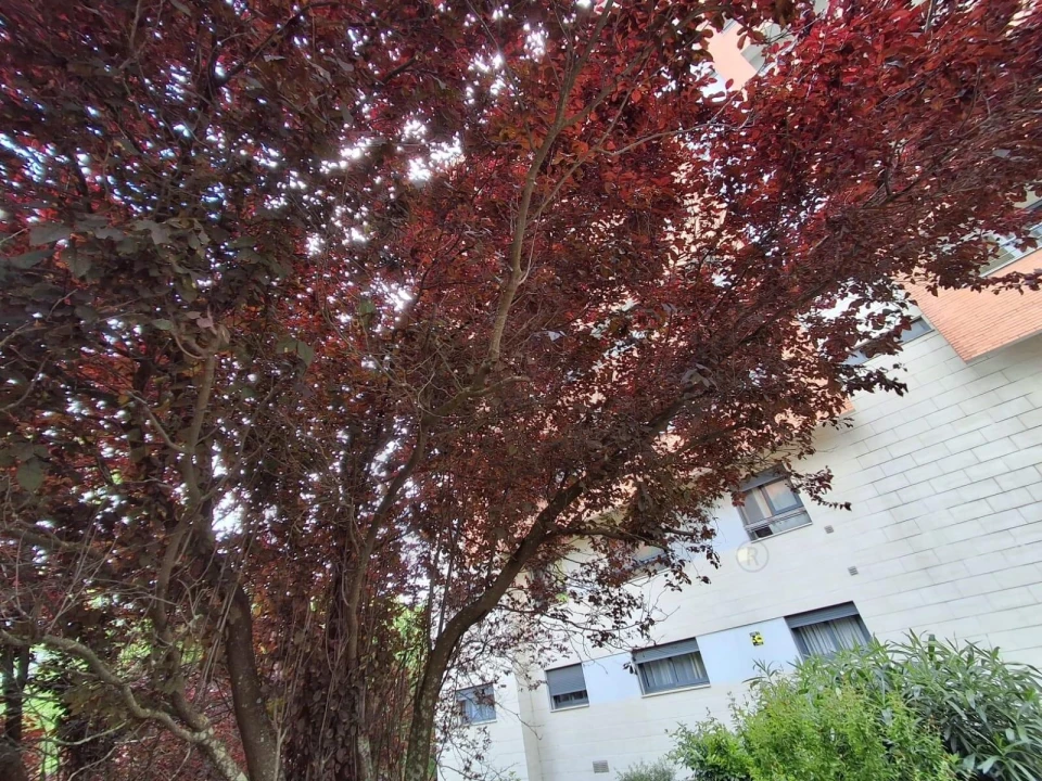 Apartamento T3 para Arrendamento em Odivelas Foto 37