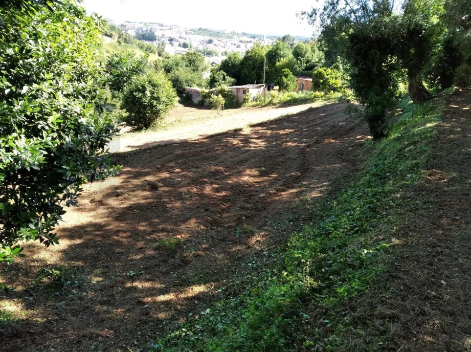Terreno para Venda em Travassô e Óis da Ribeira Foto 4