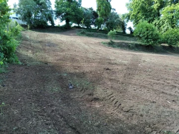 Terreno para Venda em Travassô e Óis da Ribeira