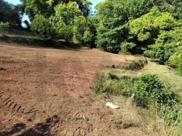 Terreno para Venda em Travassô e Óis da Ribeira