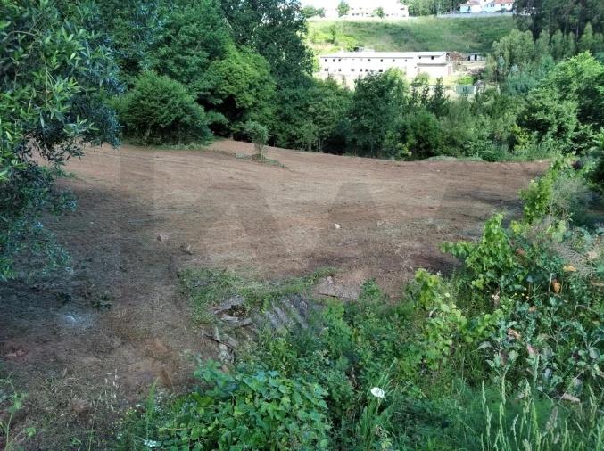 Terreno para Venda em Travassô e Óis da Ribeira Foto 3