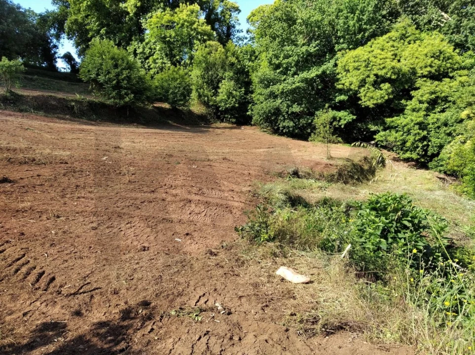 Terreno para Venda em Travassô e Óis da Ribeira Foto 1