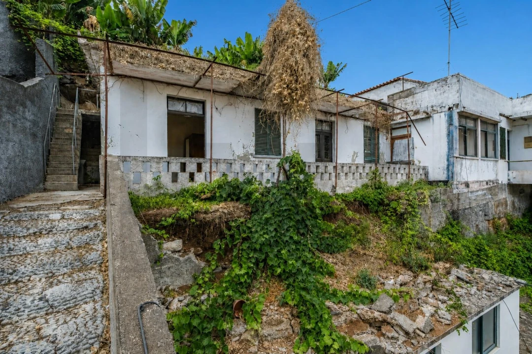 Moradia T3 para Venda em São Martinho Foto 1