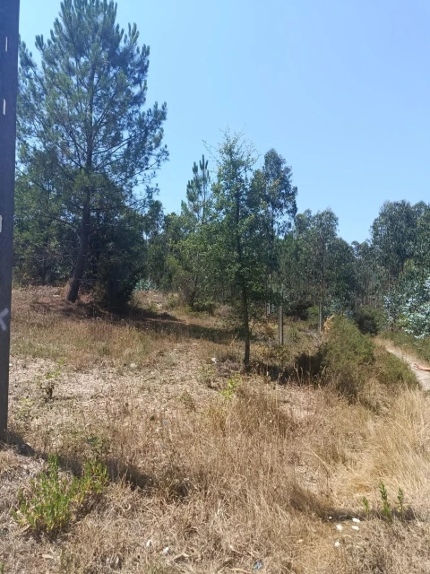 Terreno para Venda em Campo e Sobrado