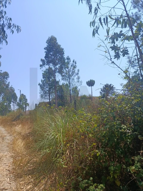 Terreno para Venda em Campo e Sobrado