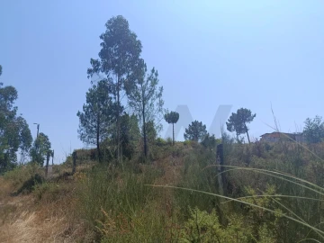 Terreno para Venda em Campo e Sobrado