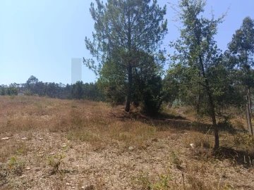 Terreno para Venda em Campo e Sobrado