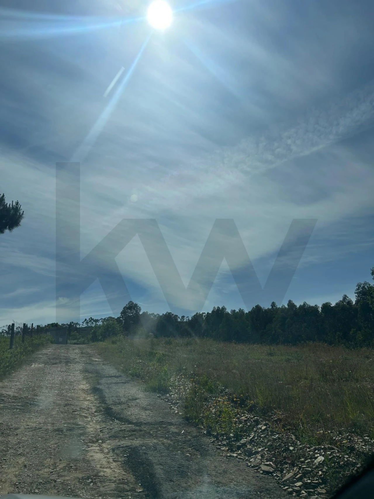 Terreno para Venda em Campo e Sobrado Foto 4