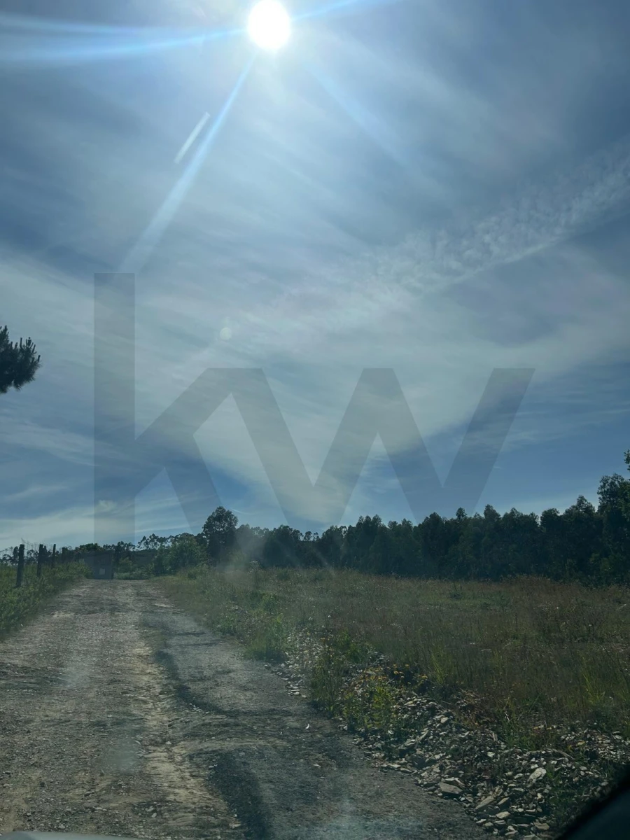 Terreno para Venda em Campo e Sobrado Foto 4