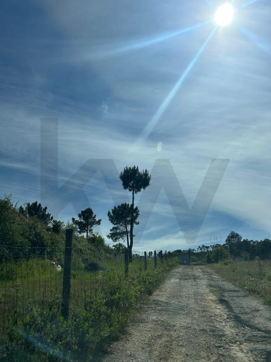 Terreno para Venda em Campo e Sobrado Foto 3