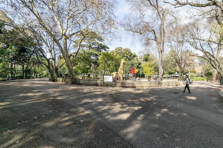 Apartamento T2 para Arrendamento em Estrela Foto 30