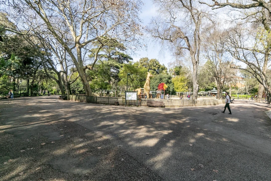 Apartamento T2 para Arrendamento em Estrela Foto 30