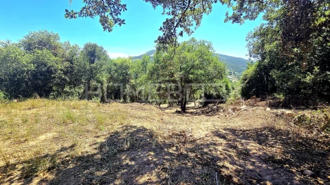 Terreno para Venda em Venda do Pinheiro e Santo Estêvão das Galés