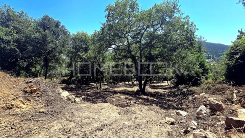 Terreno para Venda em Venda do Pinheiro e Santo Estêvão das Galés
