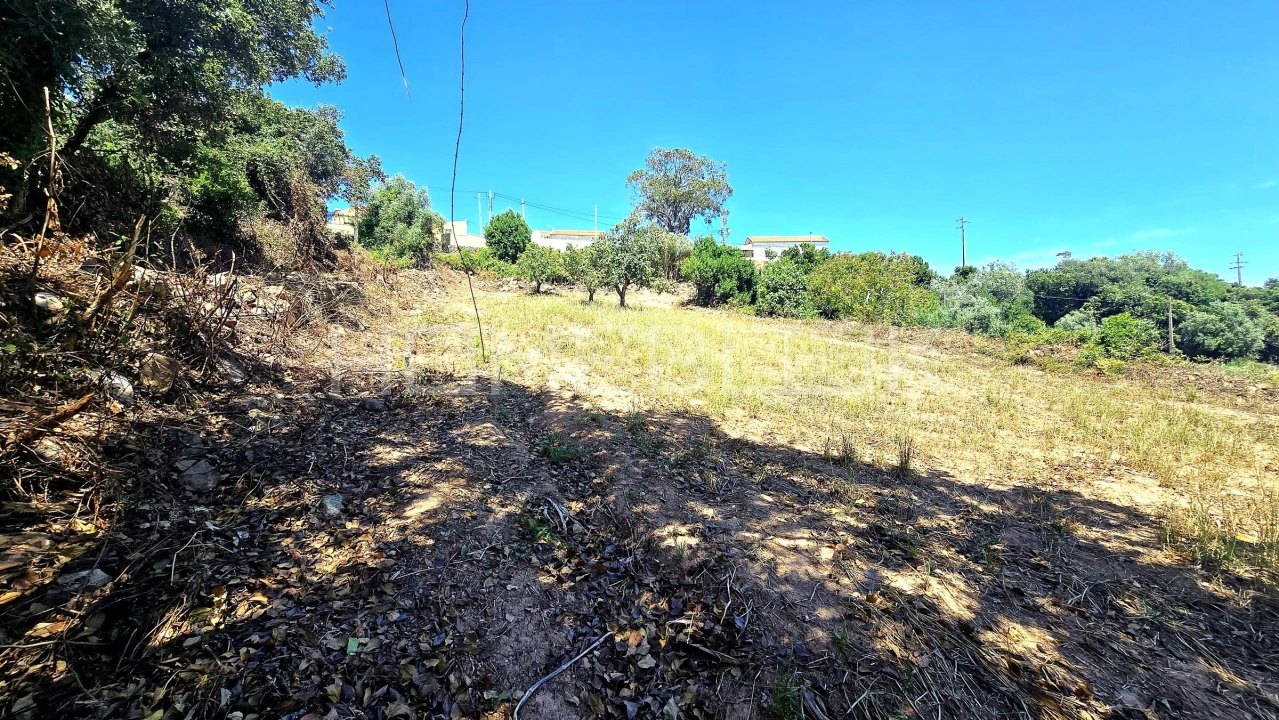 Terreno para Venda em Venda do Pinheiro e Santo Estêvão das Galés Foto 8