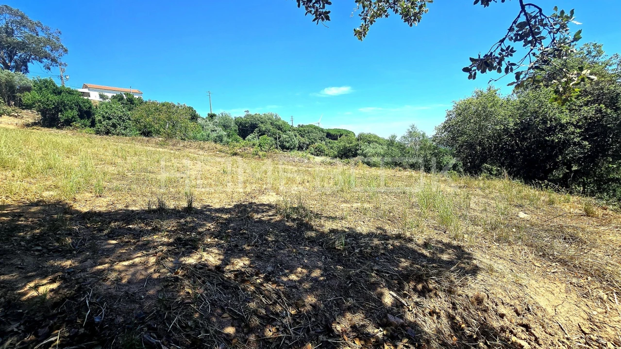 Terreno para Venda em Venda do Pinheiro e Santo Estêvão das Galés Foto 7