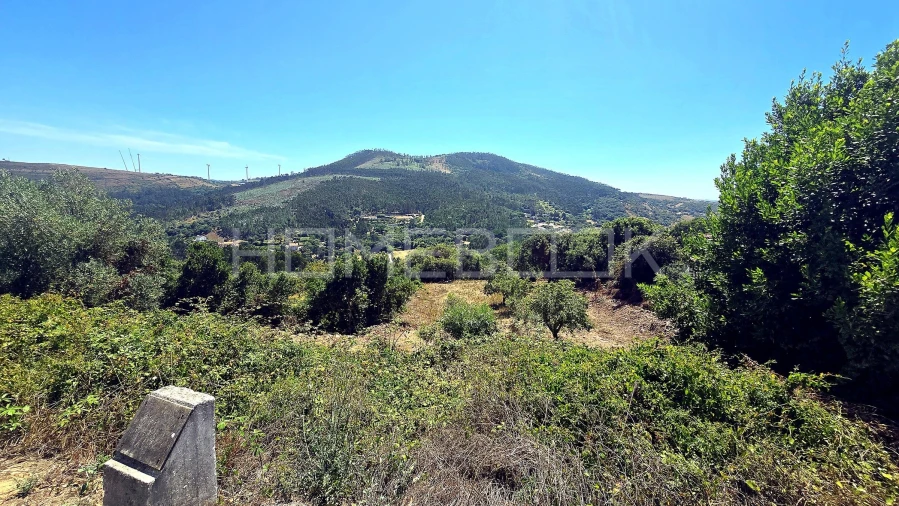 Terreno para Venda em Venda do Pinheiro e Santo Estêvão das Galés Foto 4