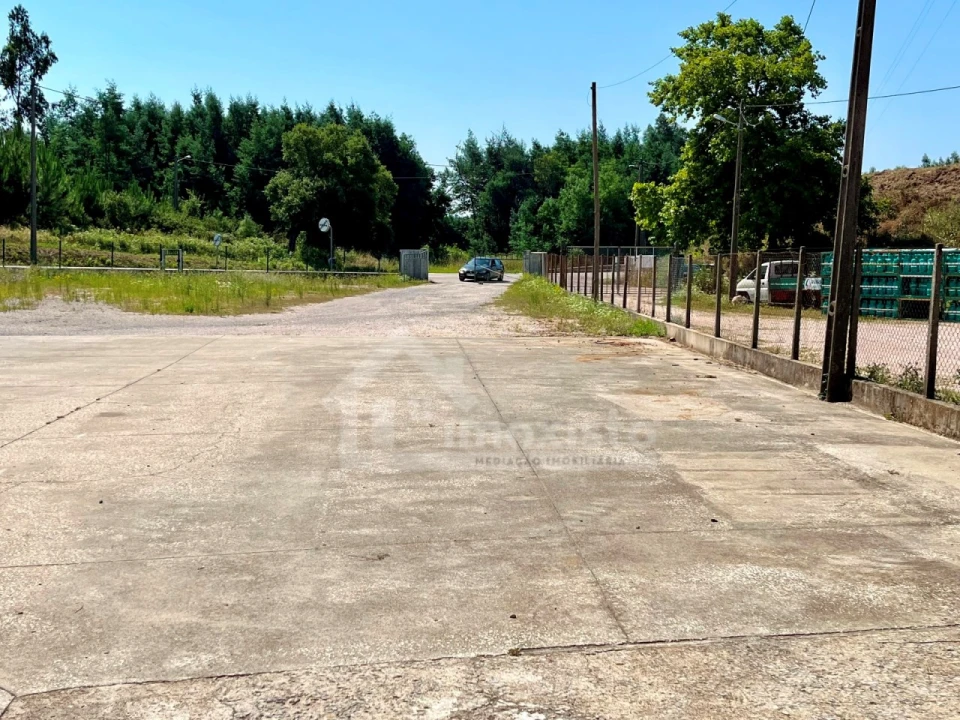 Armazém para Arrendamento em Figueiró dos Vinhos e Bairradas Foto 13