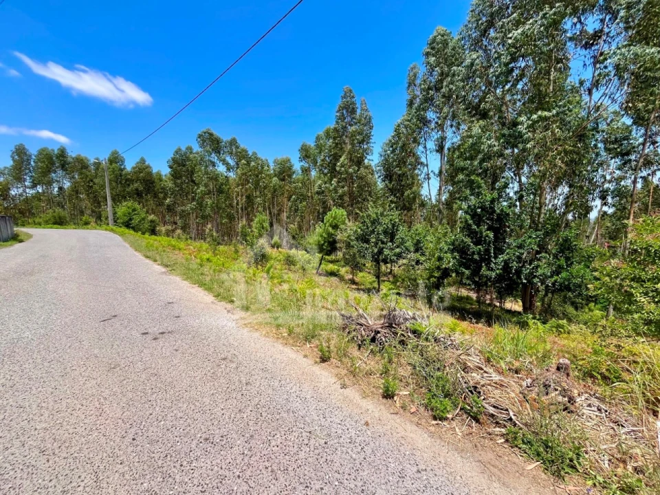 Terreno Agricola ou Rústico para Venda em Graça Foto 9