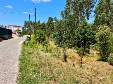 Terreno Agricola ou Rústico para Venda em Graça