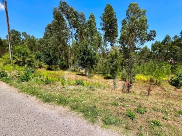 Terreno Agricola ou Rústico para Venda em Graça