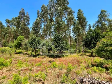 Terreno Agricola ou Rústico para Venda em Graça