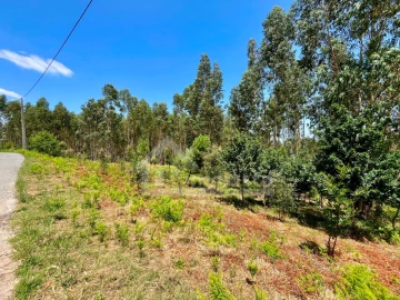 Terreno Agricola ou Rústico para Venda em Graça
