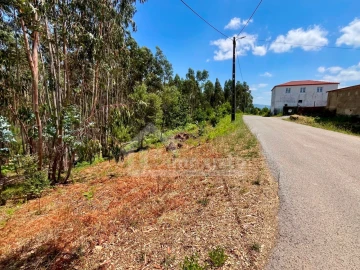 Terreno Agricola ou Rústico para Venda em Graça