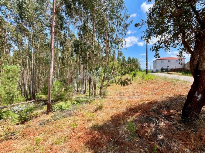 Terreno Agricola ou Rústico para Venda em Graça Foto 8