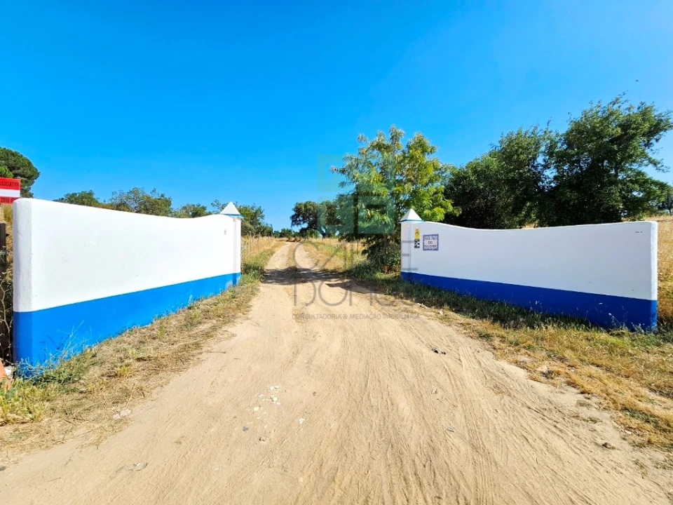 Quinta T5 para Venda em Garvão e Santa Luzia Foto 12