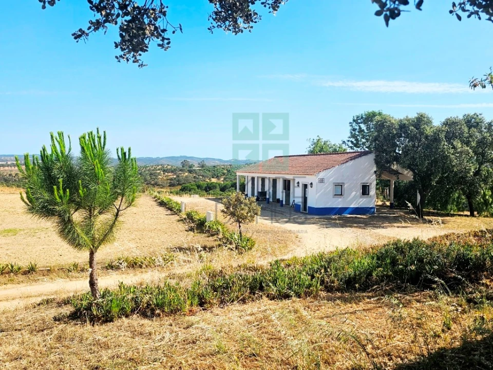 Quinta T5 para Venda em Garvão e Santa Luzia Foto 13
