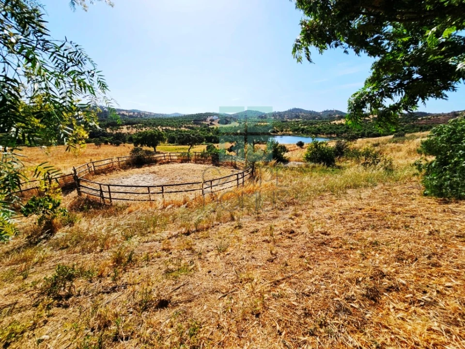 Quinta T5 para Venda em Garvão e Santa Luzia Foto 14