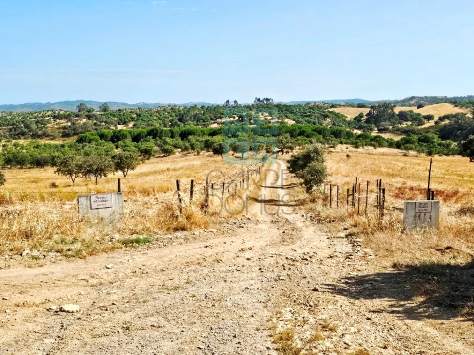Quinta T5 para Venda em Garvão e Santa Luzia Foto 17
