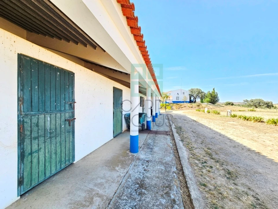 Quinta T5 para Venda em Garvão e Santa Luzia Foto 21