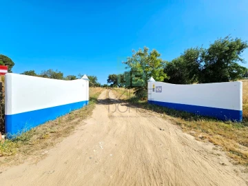 Quinta T5 para Venda em Garvão e Santa Luzia