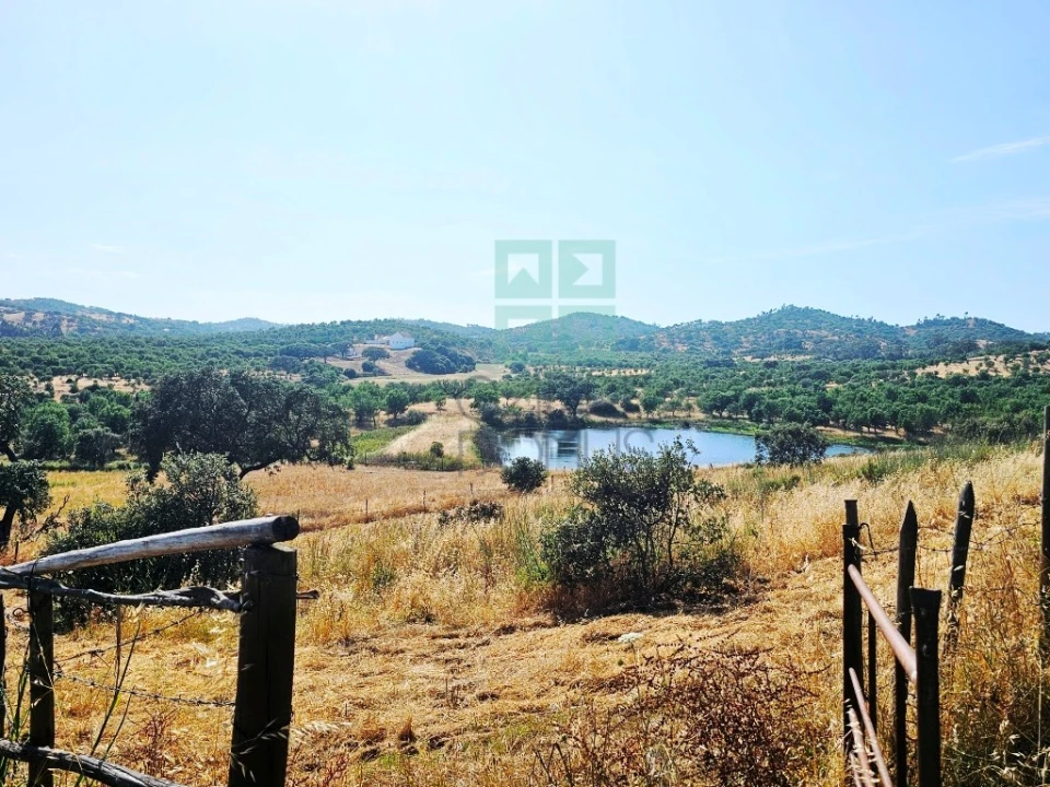 Moradia T5 para Venda em Garvão e Santa Luzia Foto 15