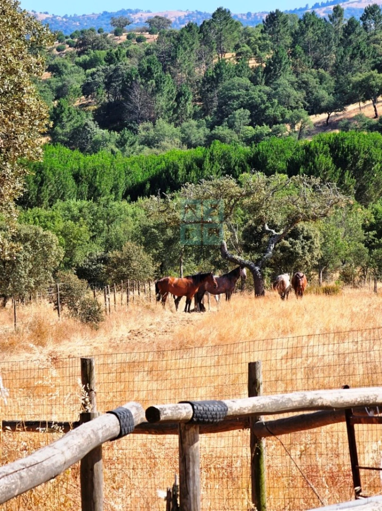Moradia T5 para Venda em Garvão e Santa Luzia Foto 17