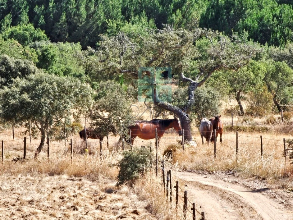 Moradia T5 para Venda em Garvão e Santa Luzia Foto 18