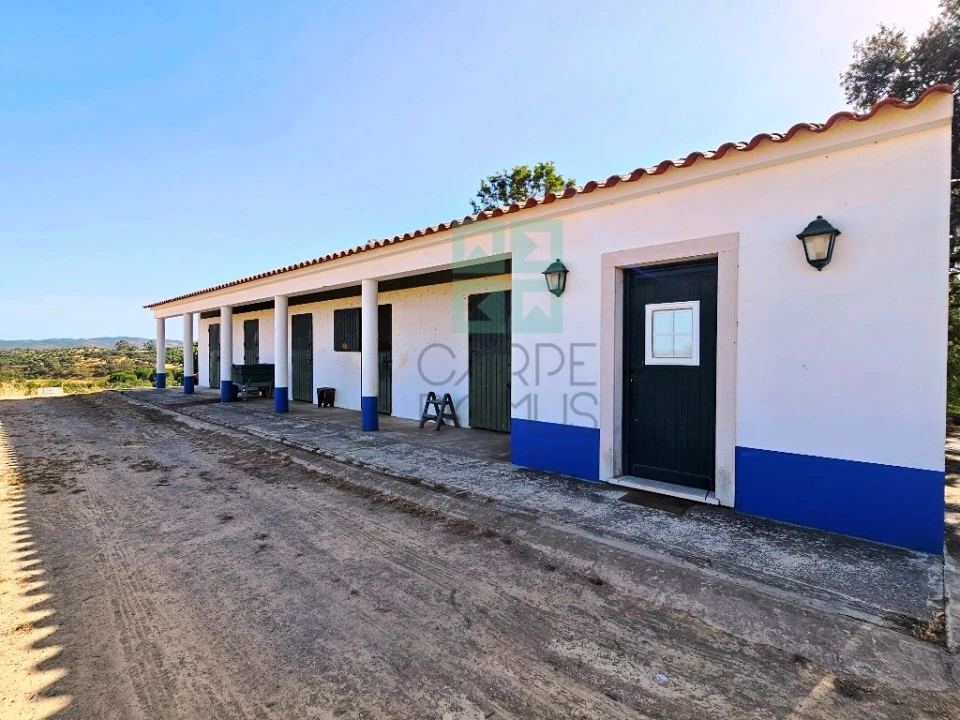 Moradia T5 para Venda em Garvão e Santa Luzia Foto 24