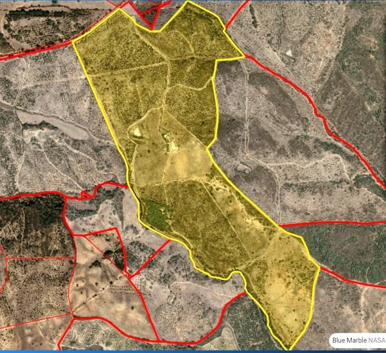 Moradia T5 para Venda em Garvão e Santa Luzia Planta 8