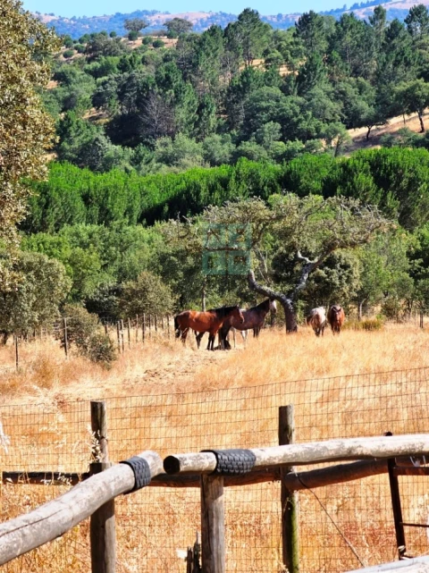 Moradia T5 para Venda em Garvão e Santa Luzia
