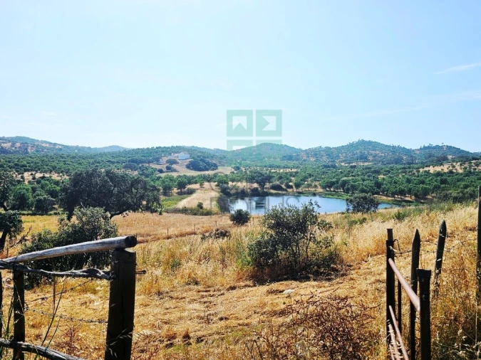 Moradia T5 para Venda em Garvão e Santa Luzia Foto 15
