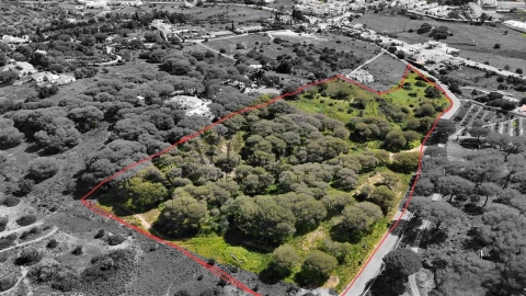Terreno para Venda em Porches